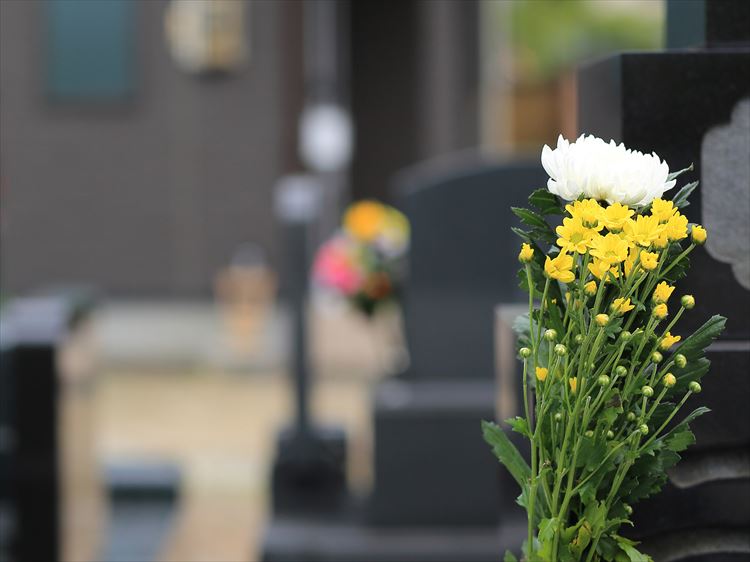 永代供養墓と納骨堂を比較 特徴 費用の違いを解説 お墓 永代供養の無料相談はハカシル